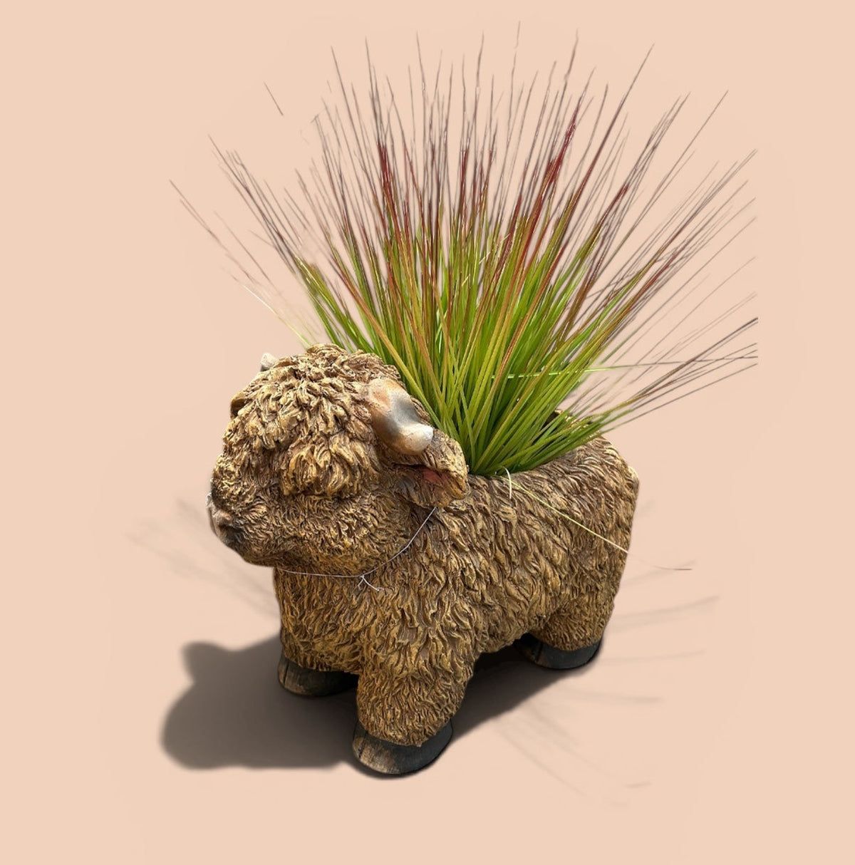 Highland Cow Planter – Rustic Animal Plant Pot | Sign of the times Stoke