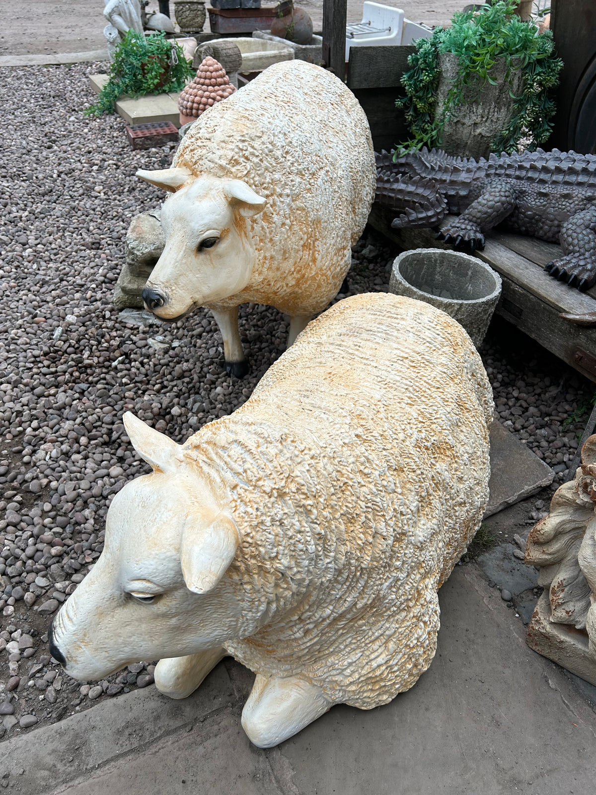 Large Lying Sheep Sculpture – Realistic Resin Indoor & Outdoor Decor | Sign of the times Stoke
