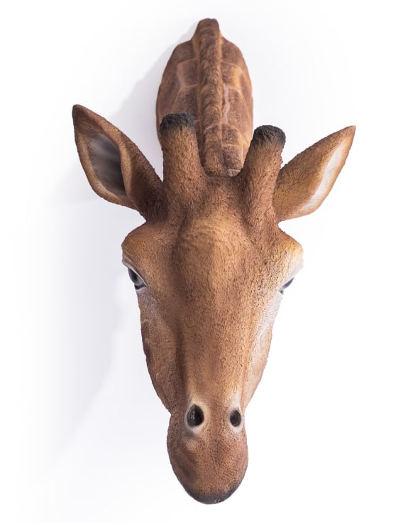Large Giraffe Wall Head – Eye-Catching Safari Animal Wall Decor | Sign of the times Stoke