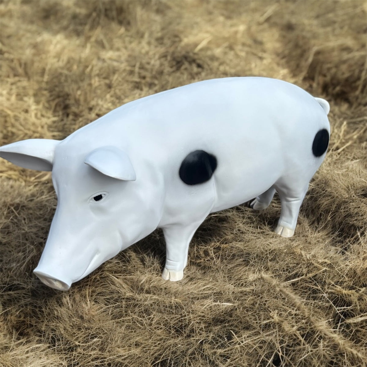 Pig Garden Sculpture - Unique Resin Pig Statue for Indoor/Outdoor Decor | Sign of the times Stoke
