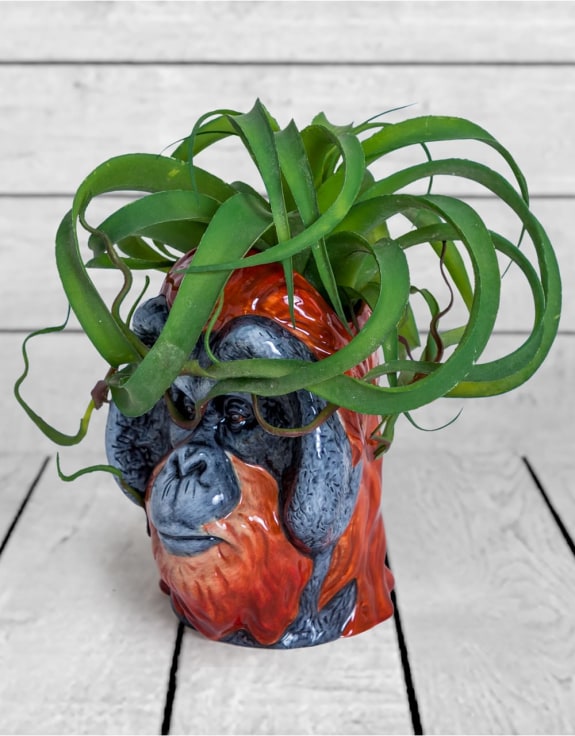Hand Painted Ceramic Orangutan Head Storage Jar / Vase – Unique Statement Décor | Sign of the times Stoke