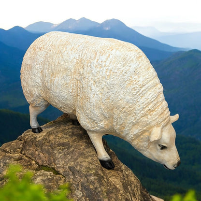 Life-Size Resin Sheep Sculpture – Realistic Indoor & Outdoor Farmhouse Decor | Sign of the times Stoke