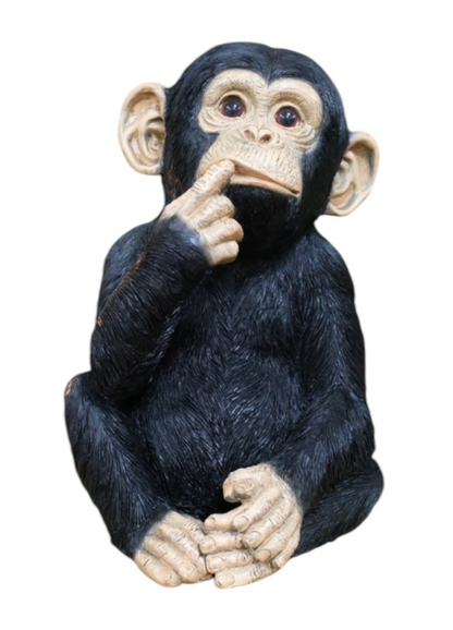 Finger In Mouth Monkey Statue | Playful & Quirky Decorative Figurine | Fun Home | Sign of the times Stoke