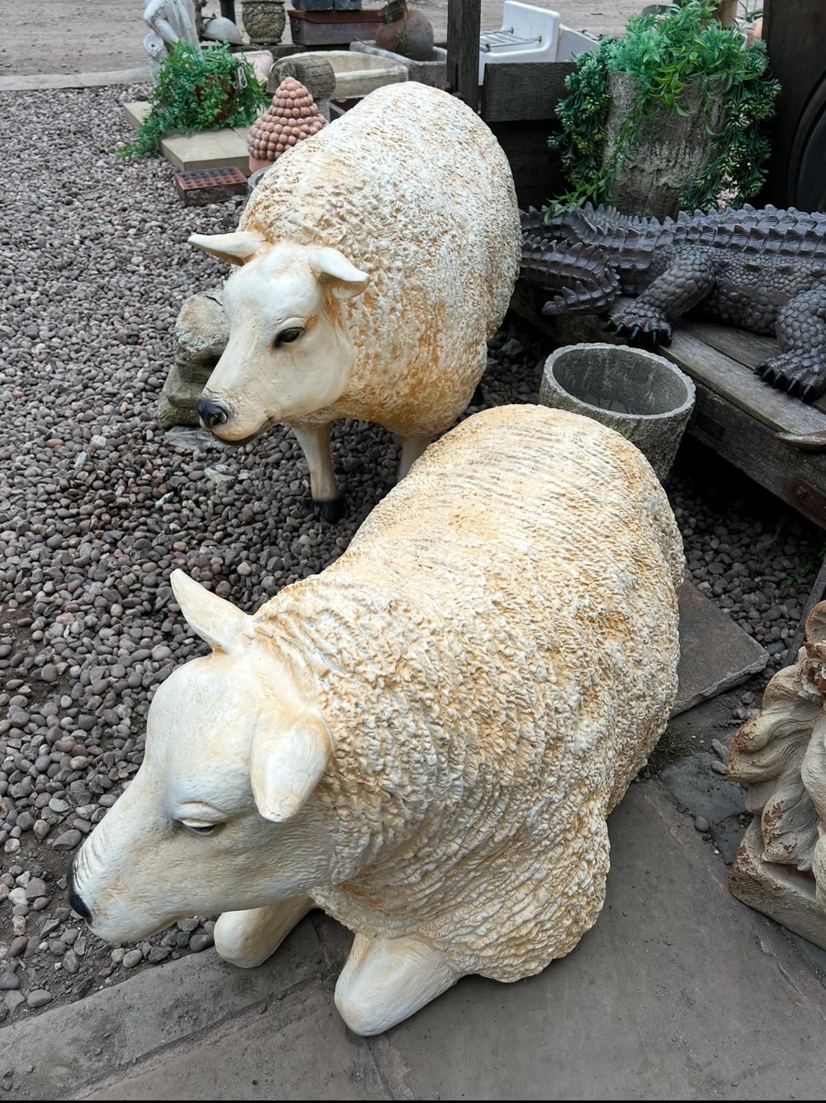 Large Lying Sheep Sculpture – Realistic Resin Indoor & Outdoor Decor | Sign of the times Stoke