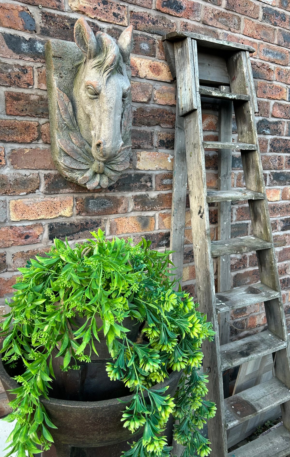 Wall-Mounted Stone-Look Horse Head - Elegant Horse Sculpture for Home Décor | Sign of the times Stoke
