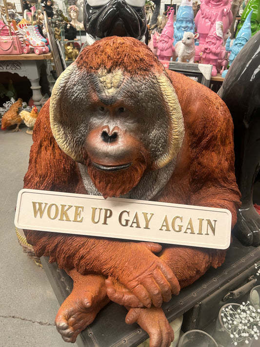 “Woke Up Gay Again” Wall Sign – Cream & Gold Statement Décor | Sign of the times Stoke