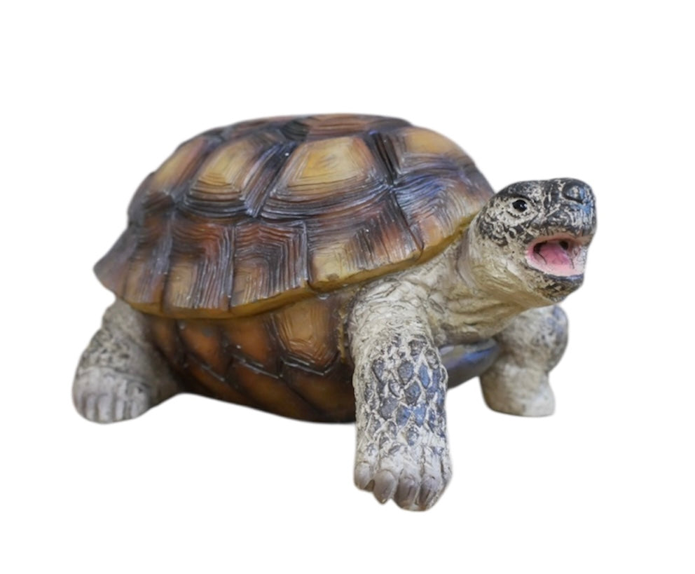 Small Tortoise Ornament | Charming Animal Decor for Home or Garden | Sign of the times Stoke