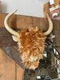Woolly Highland Cow Wall Decor – Textured Farmhouse-Style Wall Art | Sign of the times Stoke