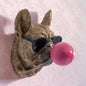 Gold Pug Dog Bubblegum Wall Head – Decorative Resin Dog Wall Décor | Sign of the times Stoke