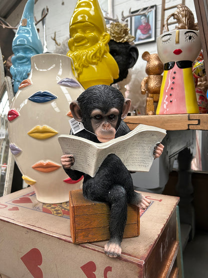 Monkey Reading the News - Charming Resin Figurine | Sign of the times Stoke