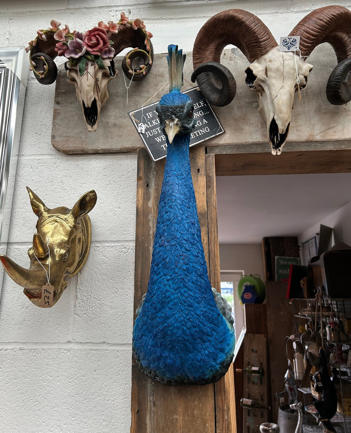 Peacock Wall Figure - Bold Resin Wall Art | Sign of the times Stoke