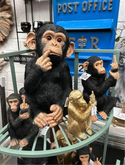 Finger In Mouth Monkey Statue | Playful & Quirky Decorative Figurine | Fun Home | Sign of the times Stoke