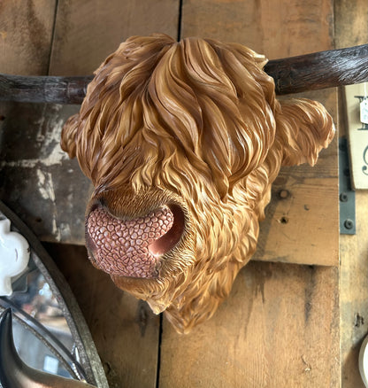 Resin Highland Cow Wall Head | Rustic Farmhouse-Style Animal Wall Decor | Sign of the times Stoke
