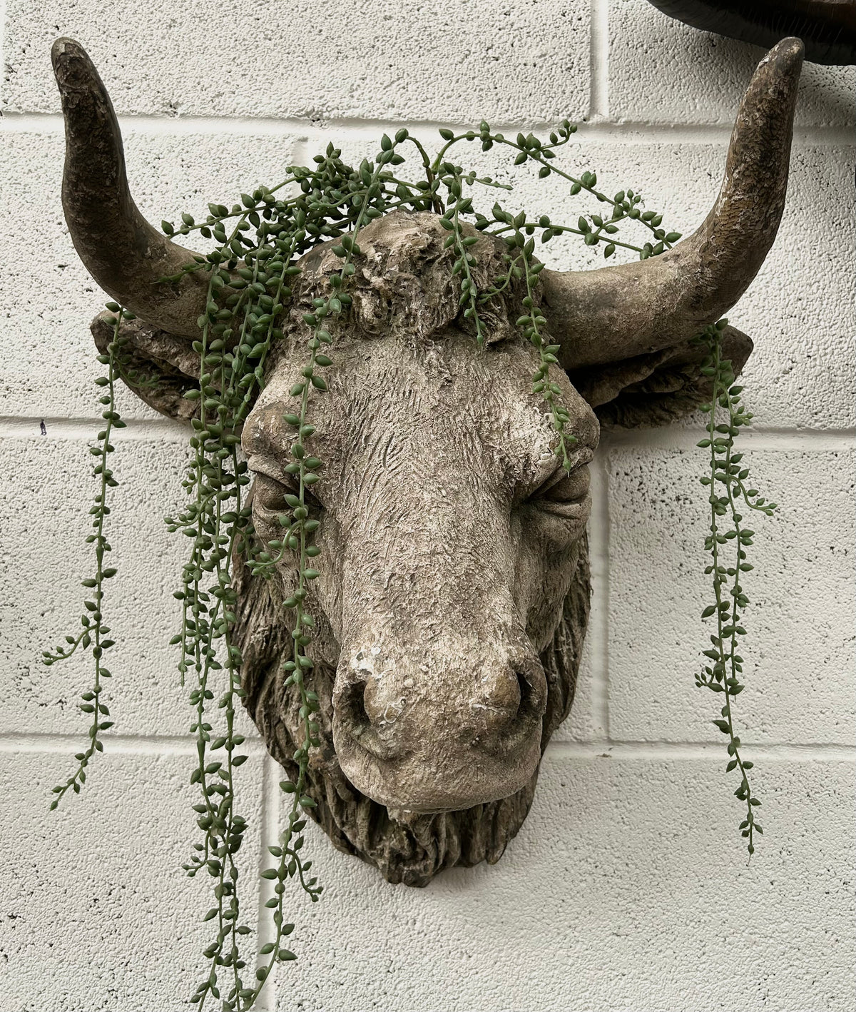 Cow Head Wall Mount – Stone Effect Animal Sculpture | Rustic Farmhouse Decor | Sign of the times Stoke
