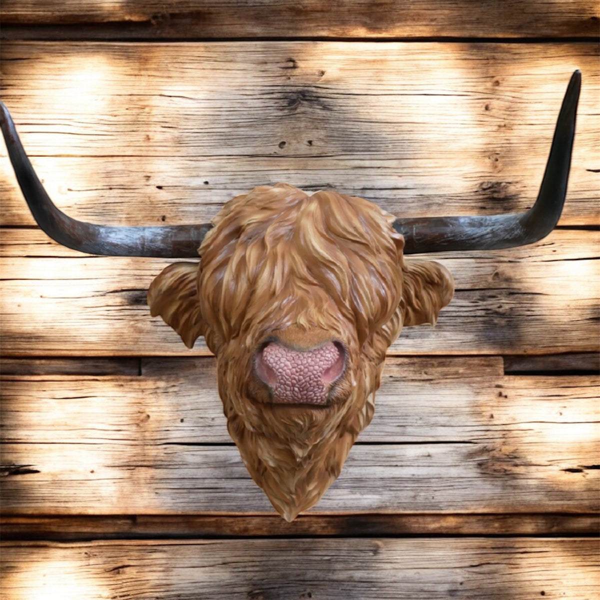 Resin Highland Cow Wall Head | Rustic Farmhouse-Style Animal Wall Decor | Sign of the times Stoke