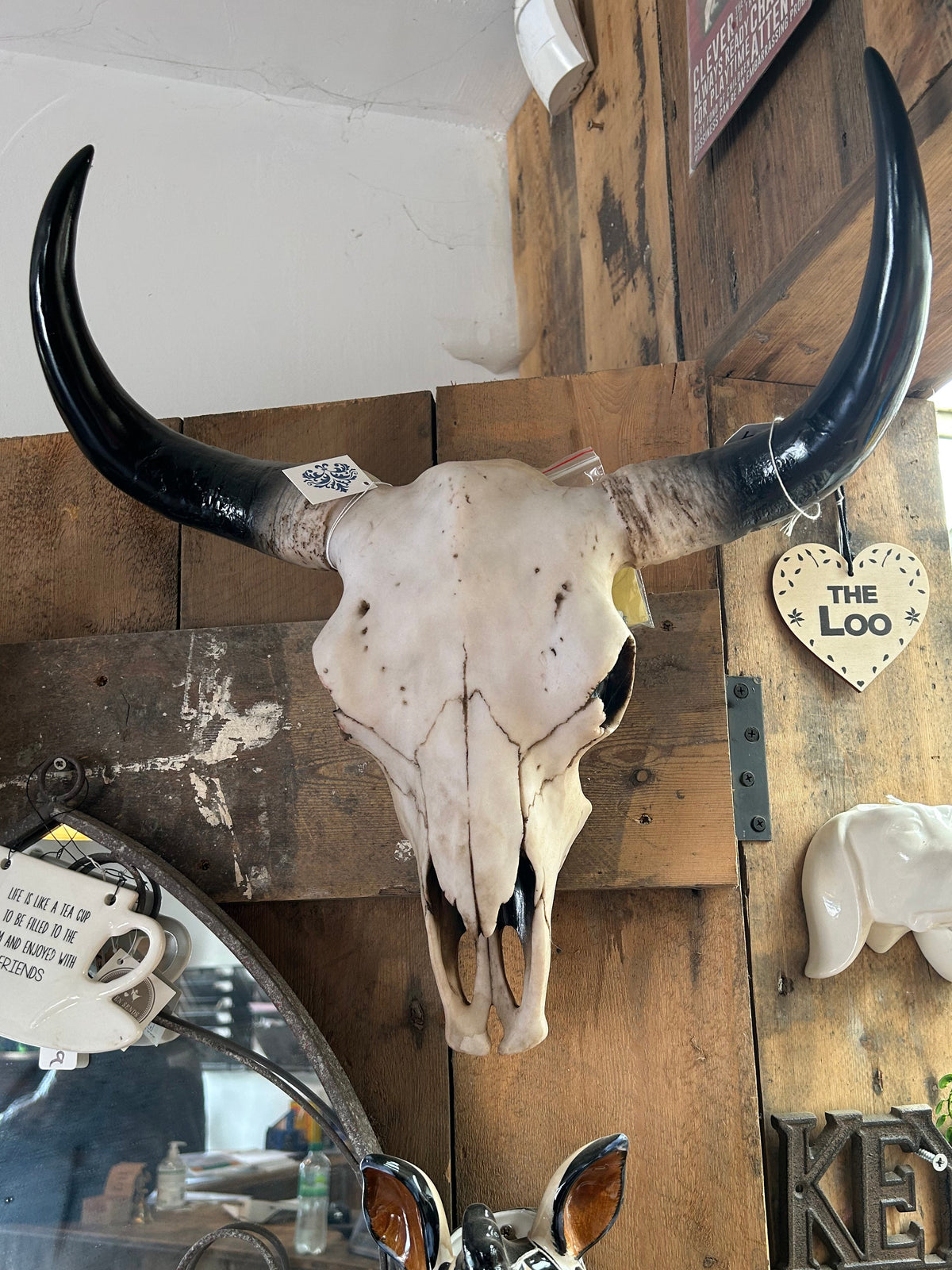 Large Bison Skull Wall Head – Stunning Wall-Mounted Bison | Sign of the times Stoke
