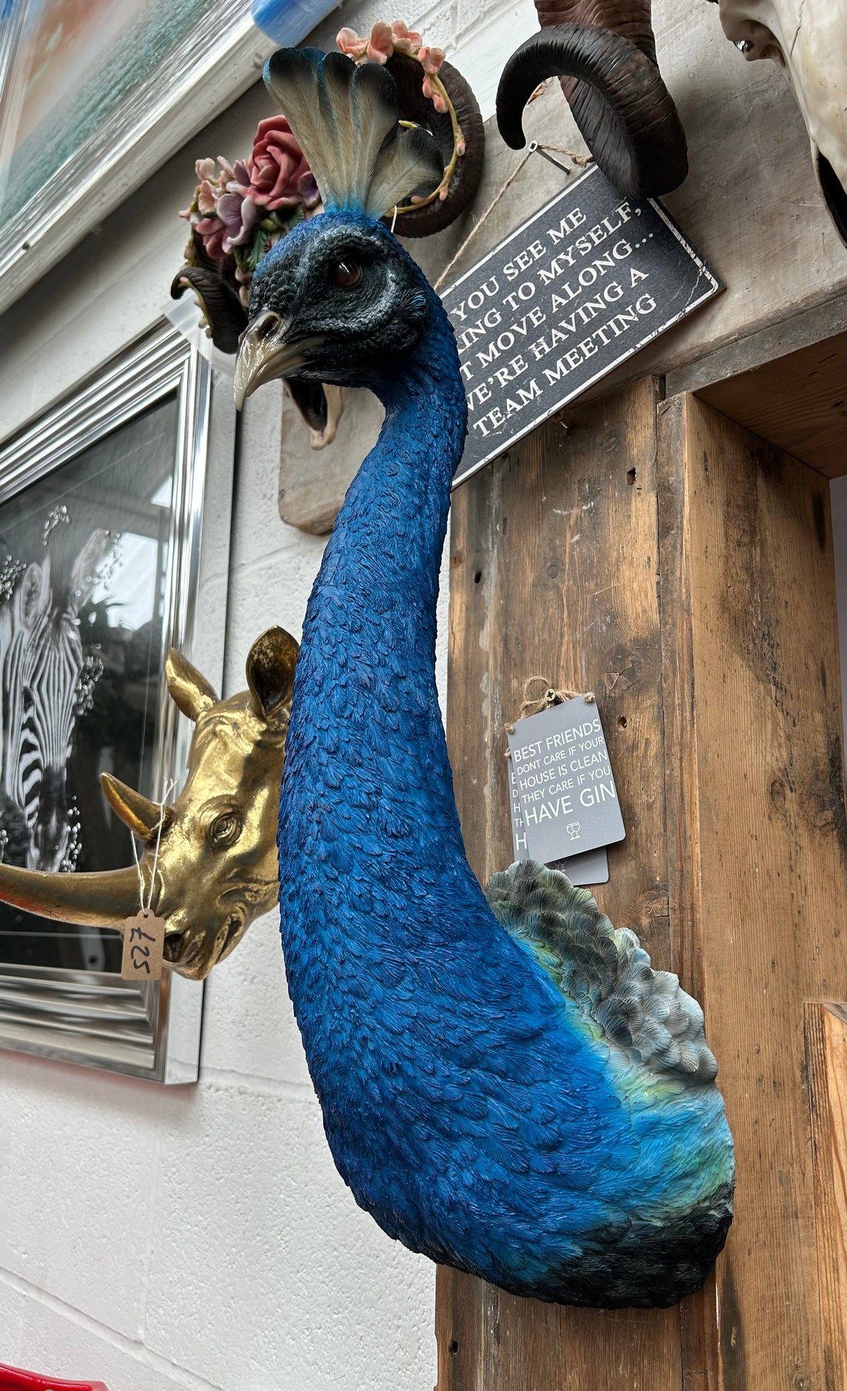 Peacock Wall Figure - Bold Resin Wall Art | Sign of the times Stoke