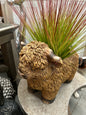 Highland Cow Planter – Rustic Animal Plant Pot | Sign of the times Stoke