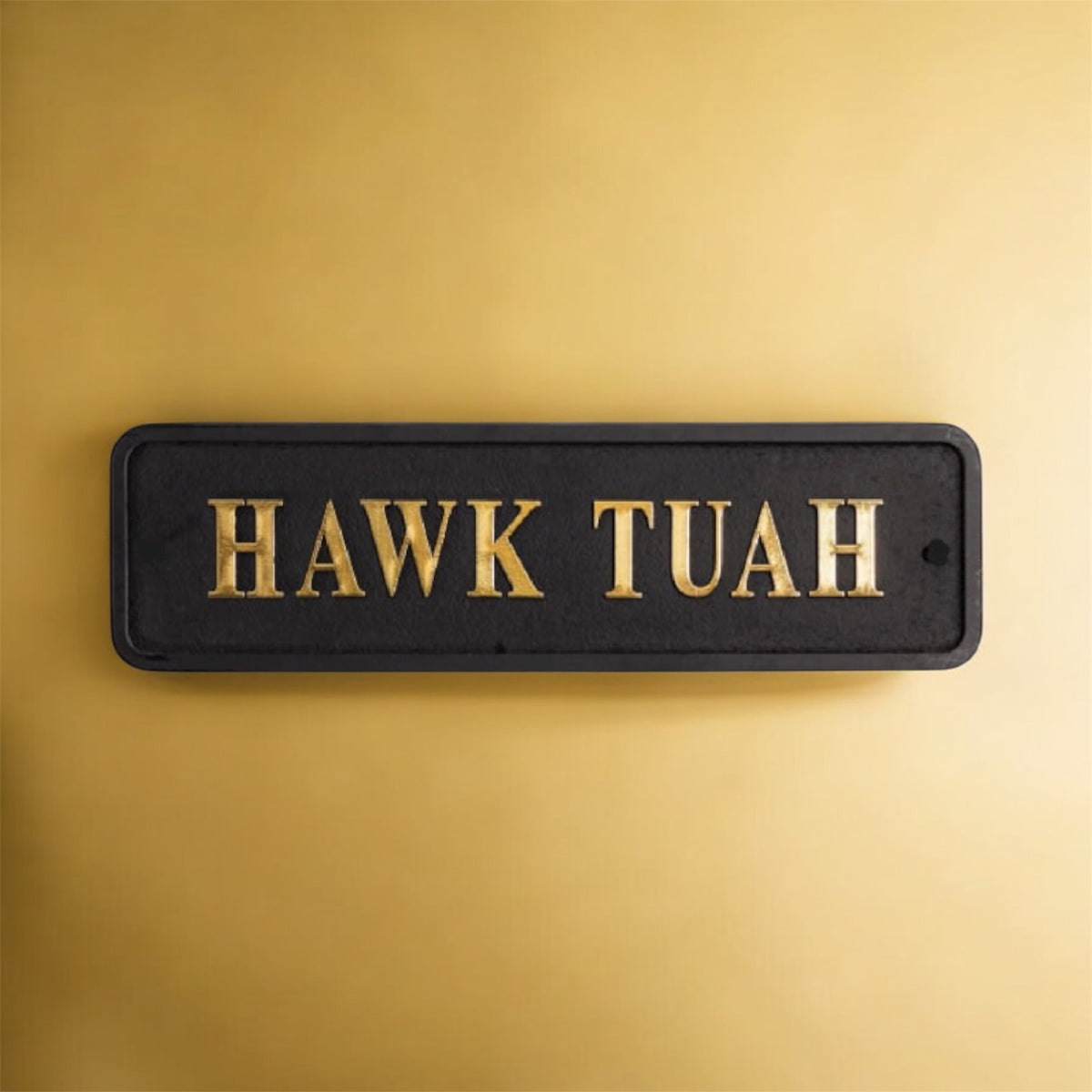 Black & Gold "Hawk Tuah" Wall Sign – Bold Quirky MDF Decor | Sign of the times Stoke