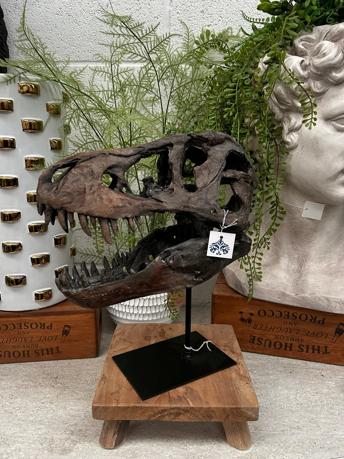 T-Rex Dinosaur Head Sculpture on Stand – Striking Prehistoric Décor | Sign of the times Stoke