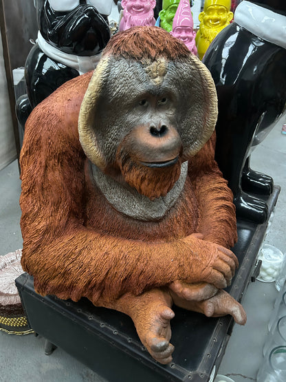 Large Orangutan Resin Figure – Outdoor Garden Sculpture | Sign of the times Stoke