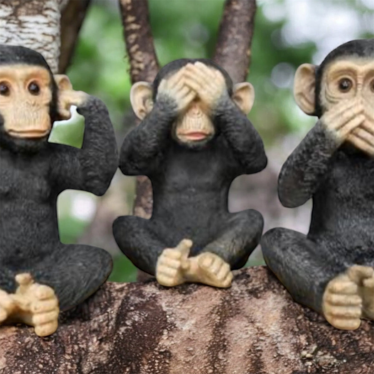 Set of 3 Monkeys - Hear No Evil, See No Evil, Speak No Evil - Adorable Resin Figurines | Sign of the times Stoke