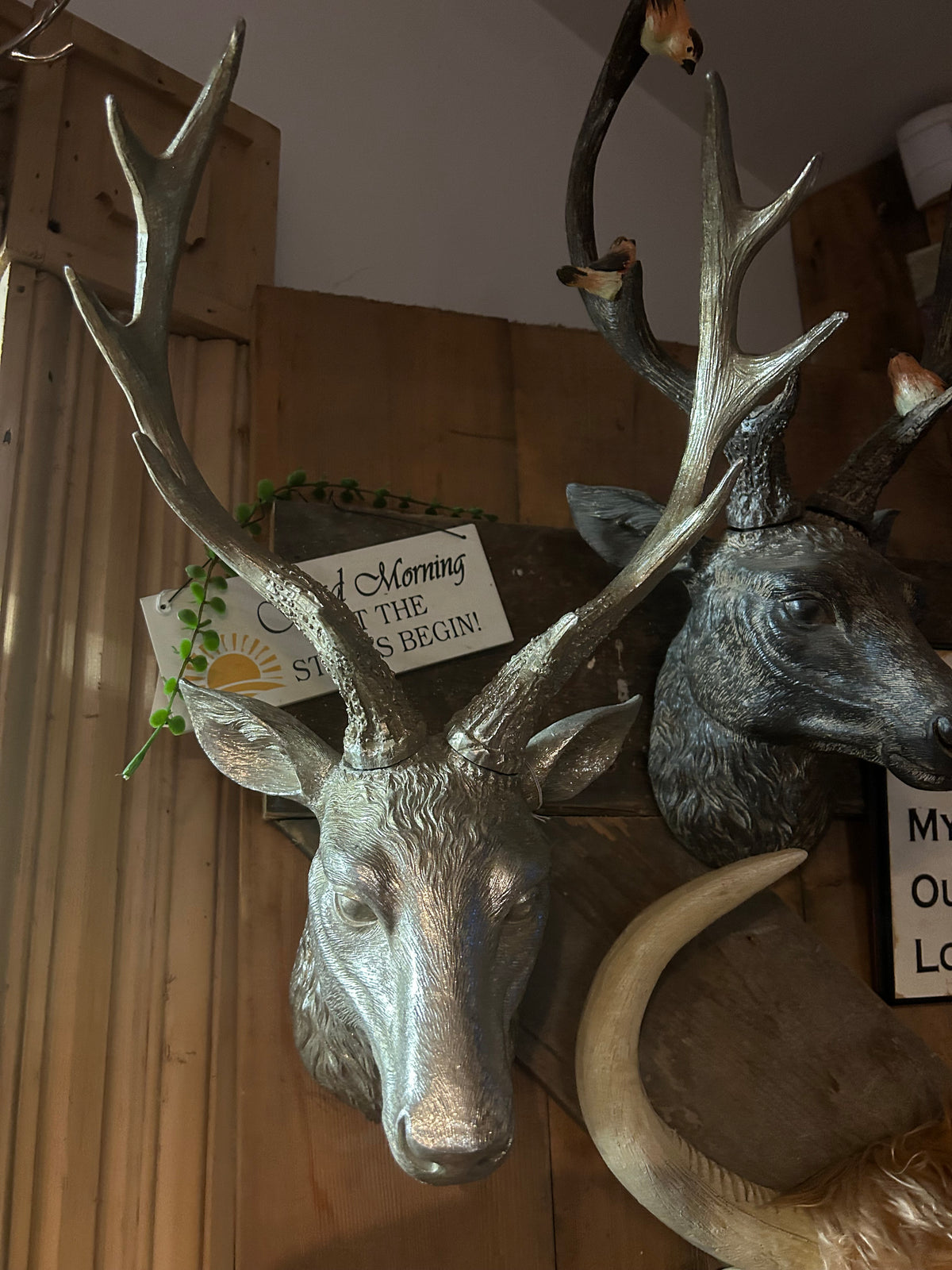 Silver Stag Head – Elegant Animal Wall Mount Decor | Sign of the times Stoke