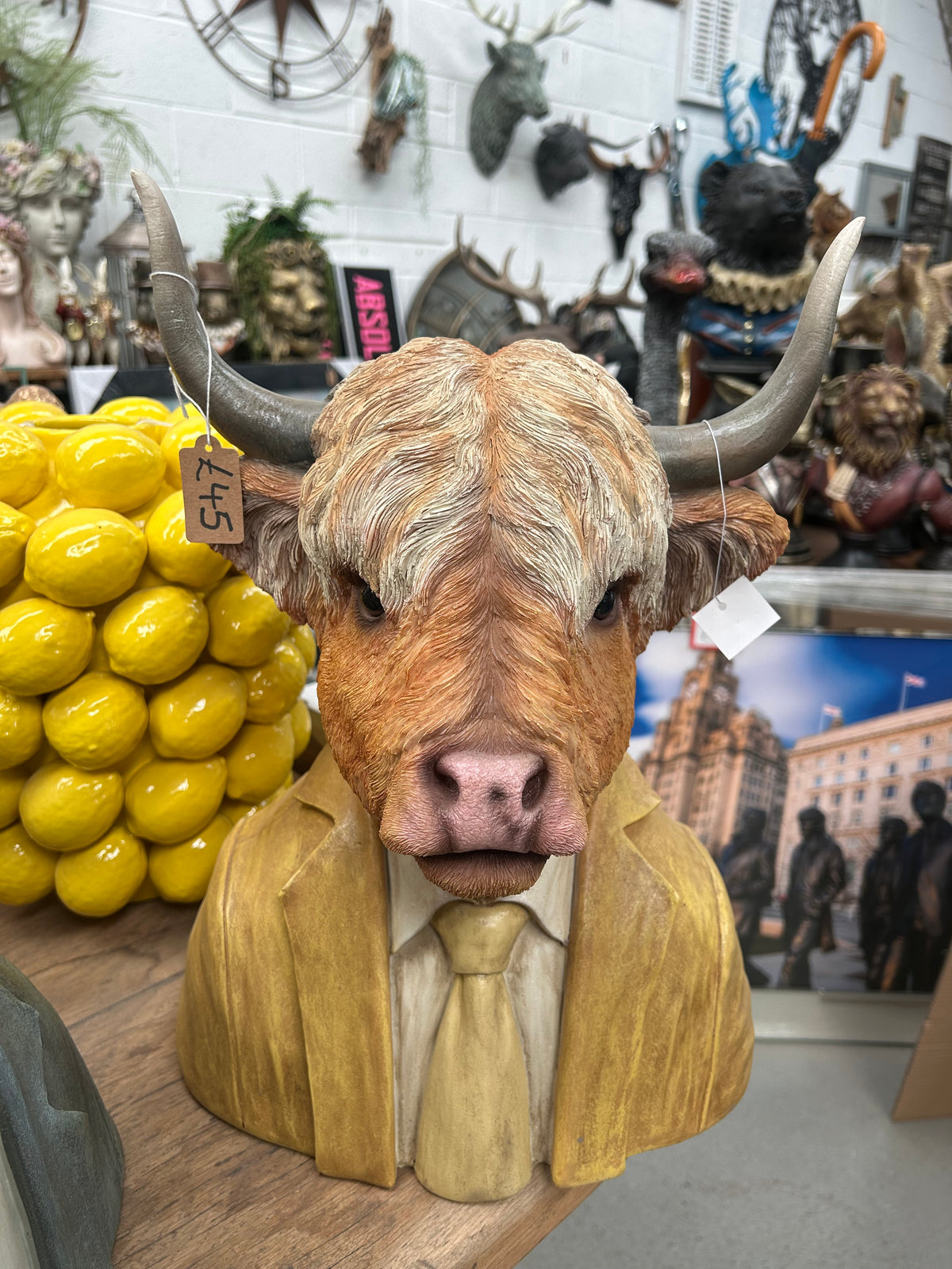Highland Cow Bust Sculpture – Rustic Farm-Inspired Animal Decor | Sign of the times Stoke