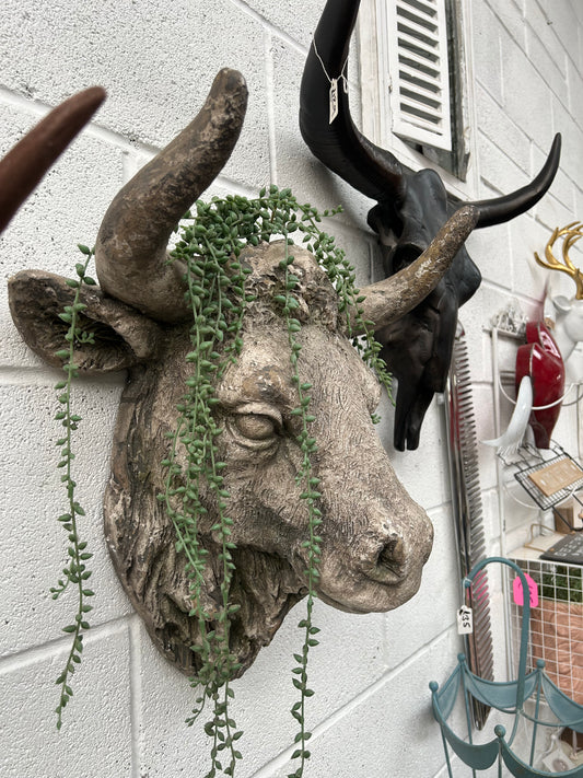 Cow Head Wall Mount – Stone Effect Animal Sculpture | Rustic Farmhouse Decor | Sign of the times Stoke