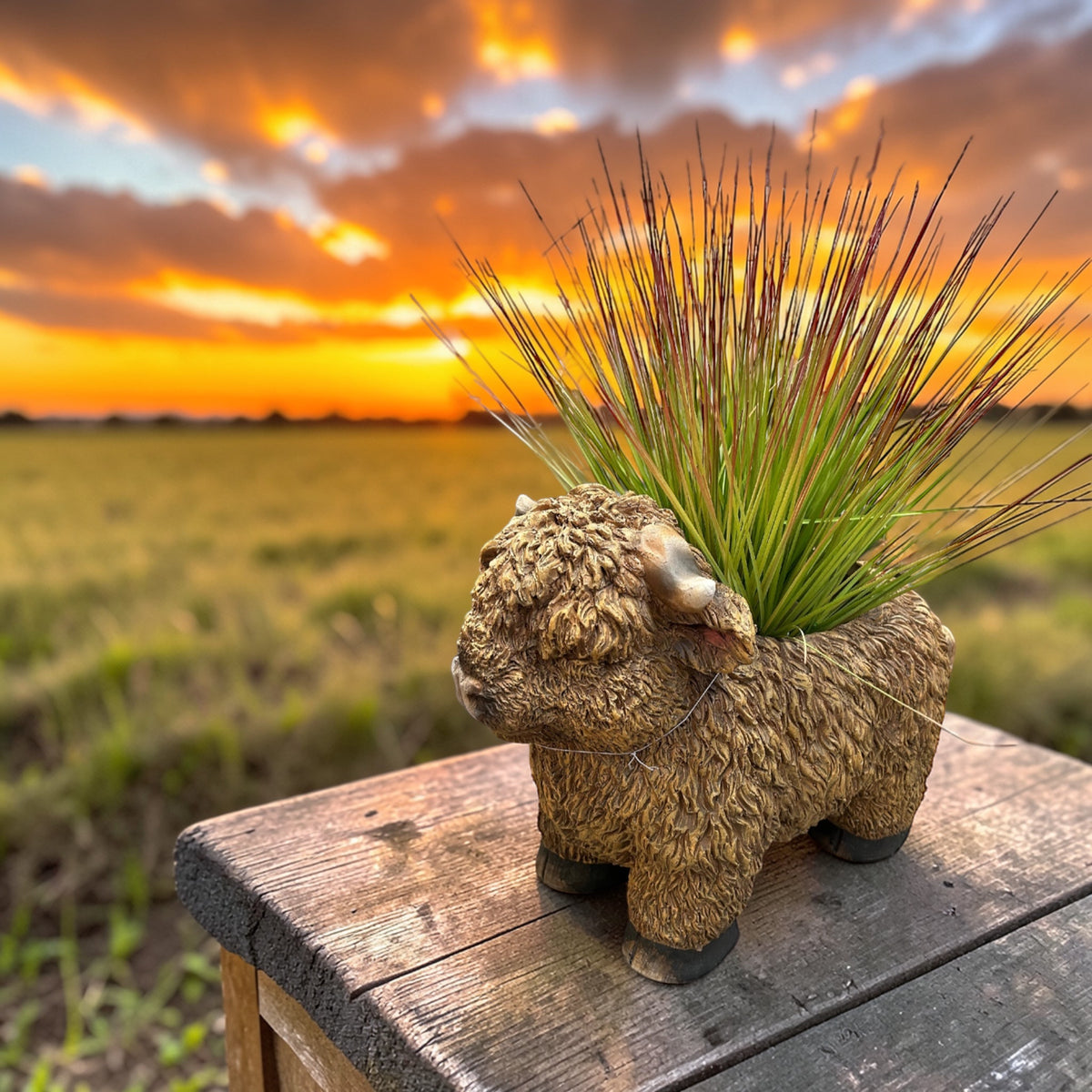 Highland Cow Planter – Rustic Animal Plant Pot | Sign of the times Stoke