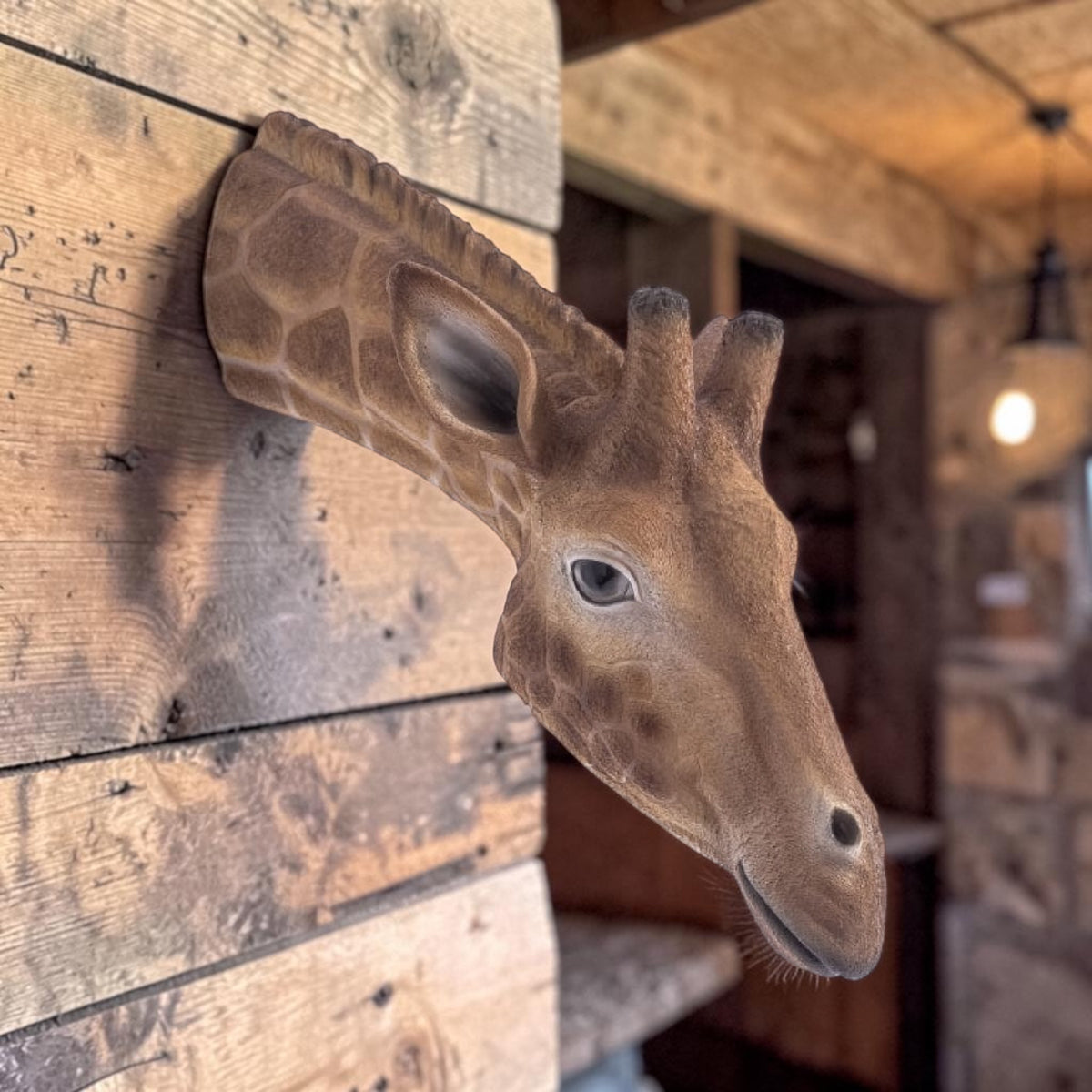 Large Giraffe Wall Head – Eye-Catching Safari Animal Wall Decor | Sign of the times Stoke