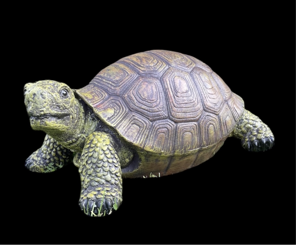Large Resin Tortoise Sculpture – Realistic Outdoor/Indoor Decor | Sign of the times Stoke