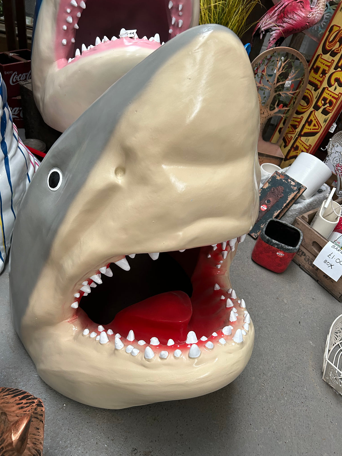 Incredible Shark Resin Wall Mount - Versatile Home Décor | Sign of the times Stoke