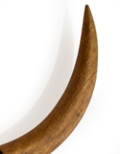 Distressed Black & Wood Tribal Bison Wall Head – Bold Boho Animal Wall Art | Sign of the times Stoke