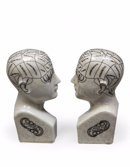 Antiqued ceramic phrenology head bookends/ornaments | Sign of the times Stoke