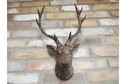 Stags Head Wall Mount - Natural Brown Resin Deer Head | Sign of the times Stoke