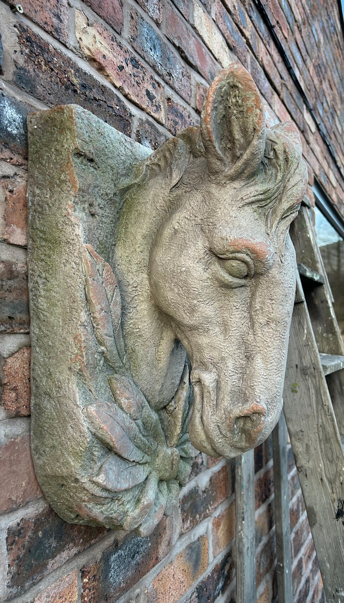 Wall-Mounted Stone-Look Horse Head - Elegant Horse Sculpture for Home Décor | Sign of the times Stoke