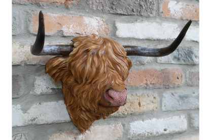 Resin Highland Cow Wall Head | Rustic Farmhouse-Style Animal Wall Decor | Sign of the times Stoke