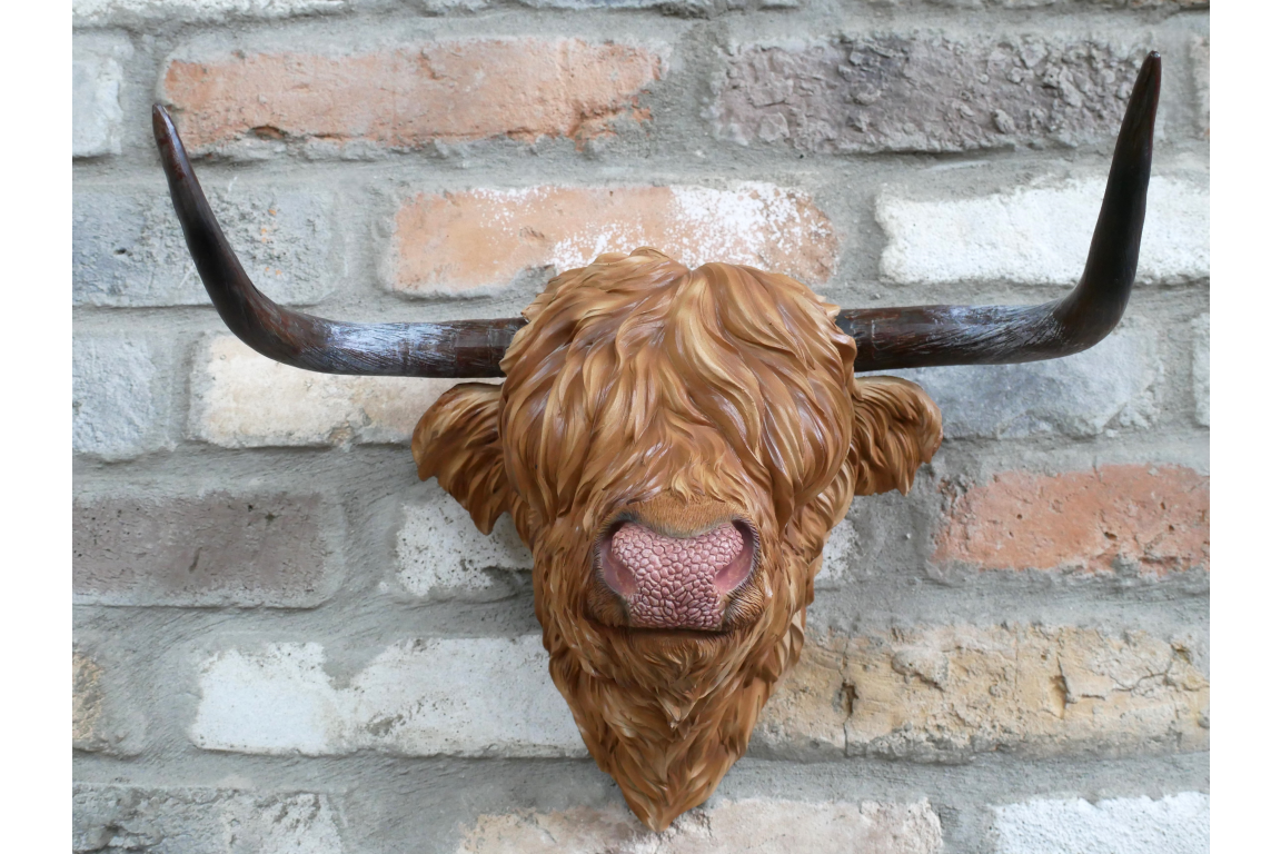 Resin Highland Cow Wall Head | Rustic Farmhouse-Style Animal Wall Decor | Sign of the times Stoke