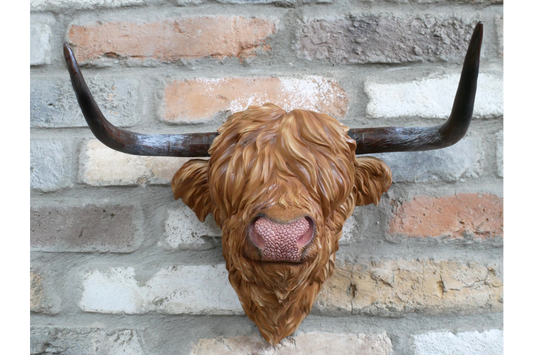 Resin Highland Cow Wall Head | Rustic Farmhouse-Style Animal Wall Decor | Sign of the times Stoke