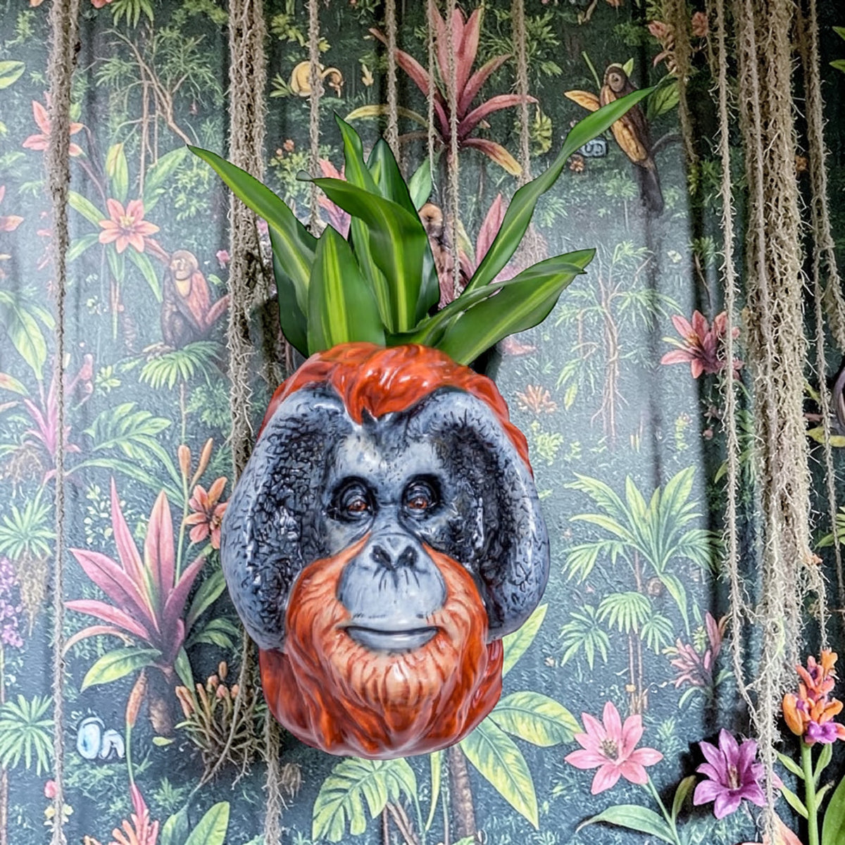 Hand Painted Ceramic Orangutan Head Wall Sconce Vase – Artistic Wall Déco | Sign of the times Stoke