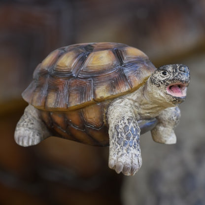 Small Tortoise Ornament | Charming Animal Decor for Home or Garden | Sign of the times Stoke