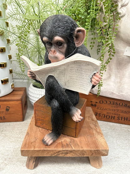 Monkey Reading the News - Charming Resin Figurine | Sign of the times Stoke