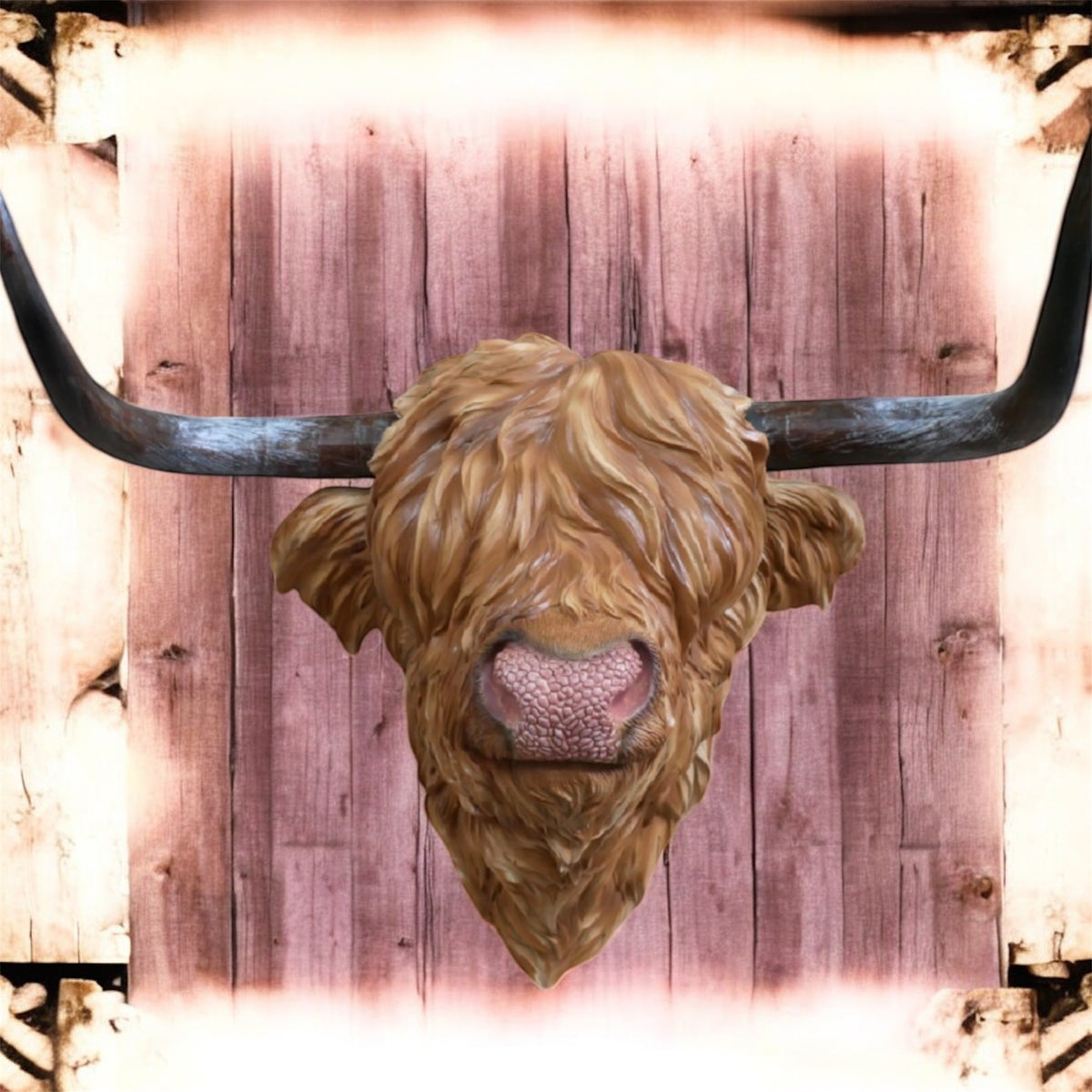 Resin Highland Cow Wall Head | Rustic Farmhouse-Style Animal Wall Decor | Sign of the times Stoke