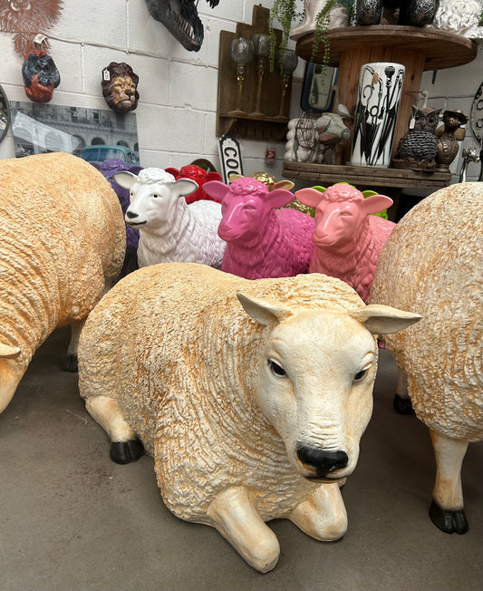 Large Lying Sheep Sculpture – Realistic Resin Indoor & Outdoor Decor | Sign of the times Stoke