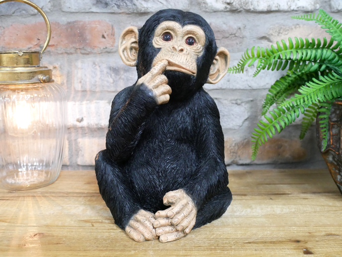 Finger In Mouth Monkey Statue | Playful & Quirky Decorative Figurine | Fun Home | Sign of the times Stoke