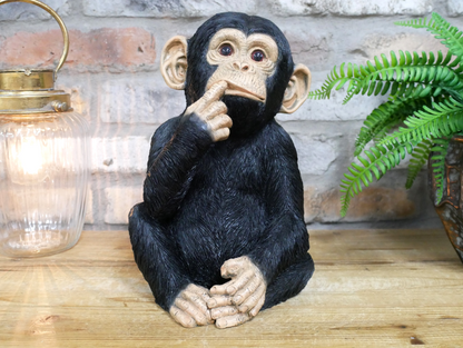 Finger In Mouth Monkey Statue | Playful & Quirky Decorative Figurine | Fun Home | Sign of the times Stoke