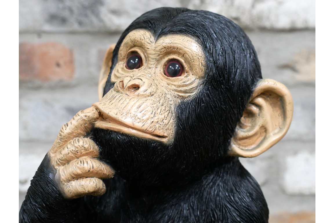 Finger In Mouth Monkey Statue | Playful & Quirky Decorative Figurine | Fun Home | Sign of the times Stoke