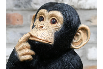 Finger In Mouth Monkey Statue | Playful & Quirky Decorative Figurine | Fun Home | Sign of the times Stoke
