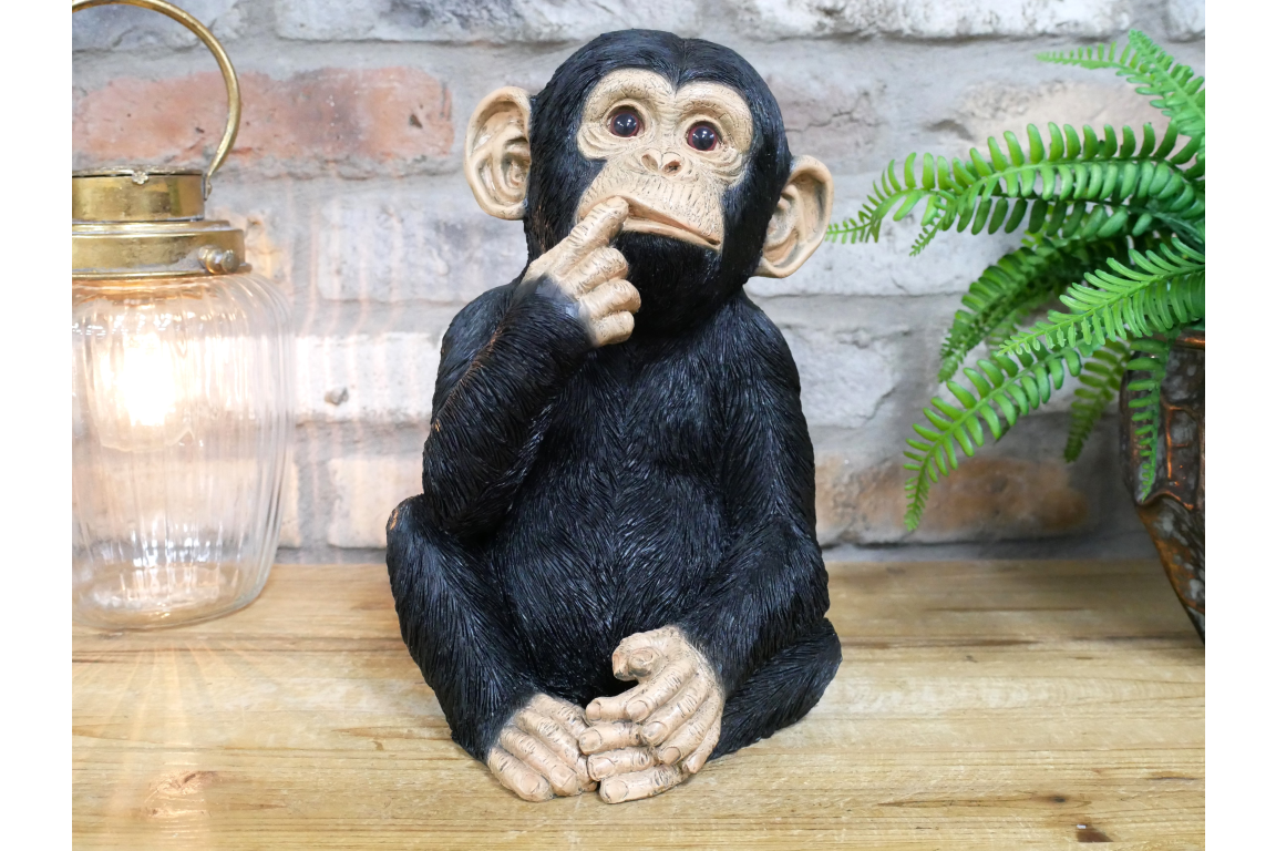 Finger In Mouth Monkey Statue | Playful & Quirky Decorative Figurine | Fun Home | Sign of the times Stoke
